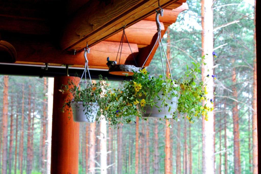 Kettu Holl Cottage Taipalsaari Dış mekan fotoğraf