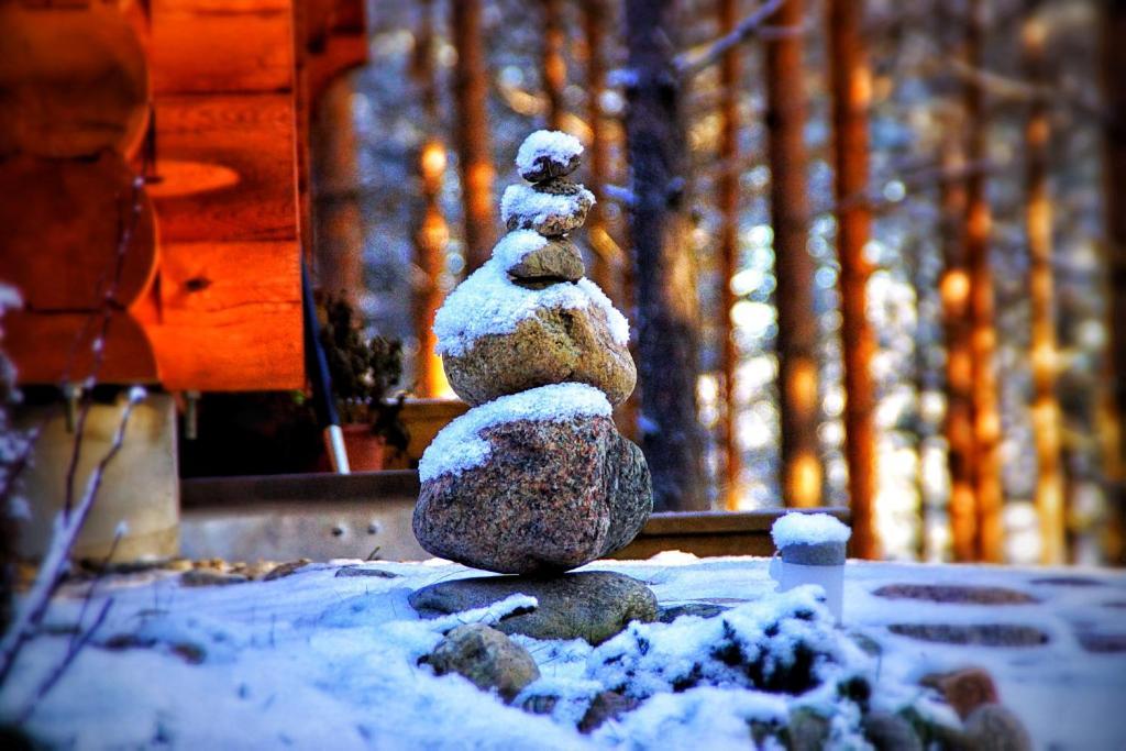 Kettu Holl Cottage Taipalsaari Dış mekan fotoğraf